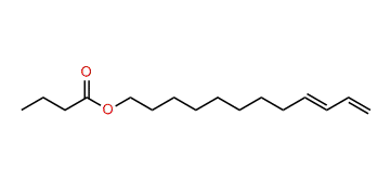 (E)-9,11-Dodecadienyl butanoate